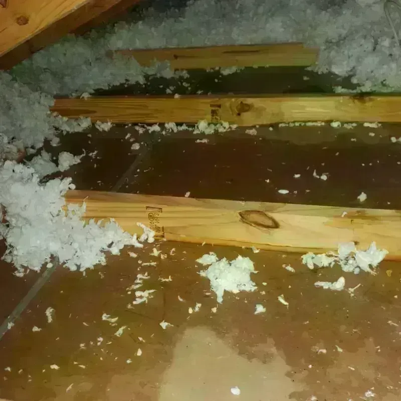 Attic Water Damage in Taylorsville, NC